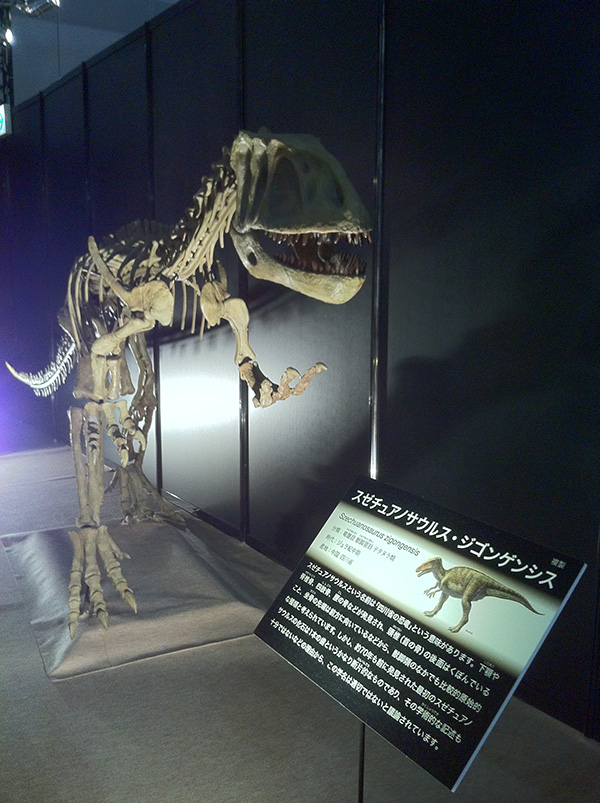 スゼチュアノサウルス・ジゴンゲンシス