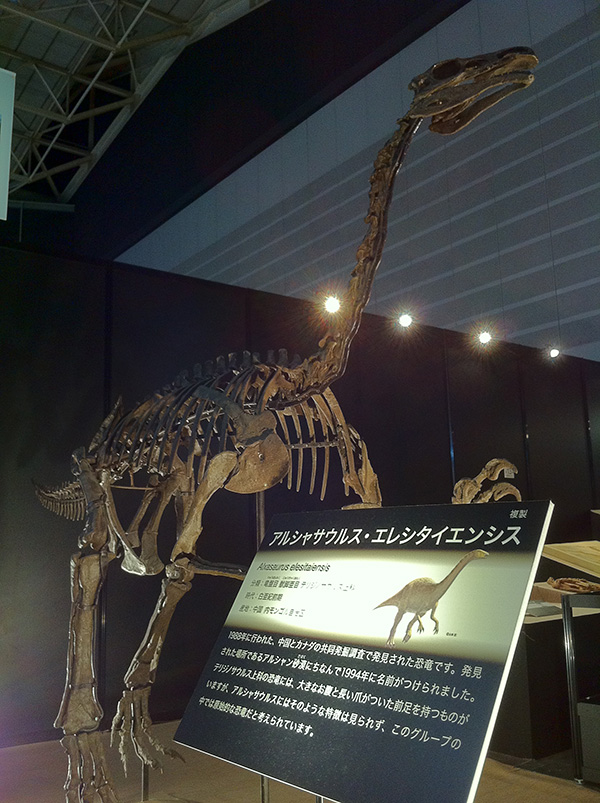 アルシャサウルス・エレシタイエンシス