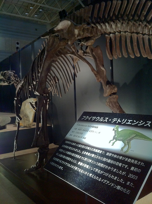 フクイサウルス・テトリエンシス