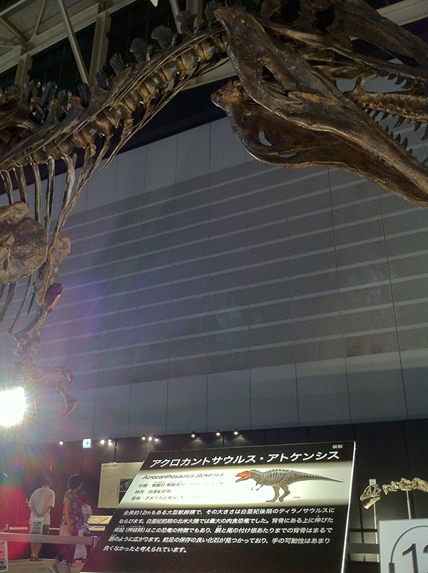 アクロカントサウルス・アトケンシス